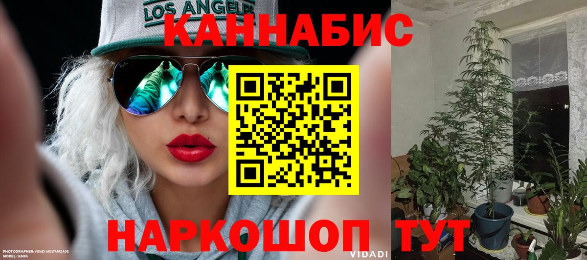 Шишки марихуана LSD WEED  Вход с VPN  Узловая  Шишки марихуана White Widow  Конопля White Widow  Конопля MAZAR 
